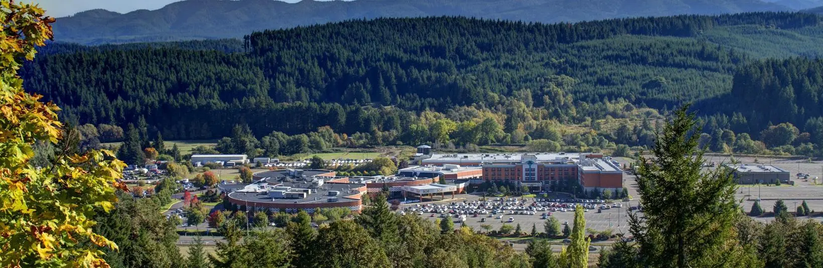 aerial view of casino