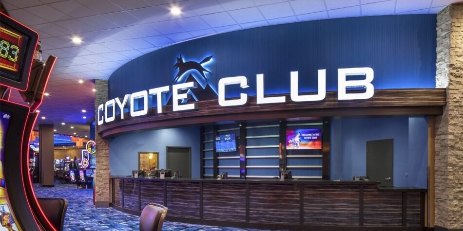 ppwdufrotjgmkdf8mssg_coyoteclub__950x